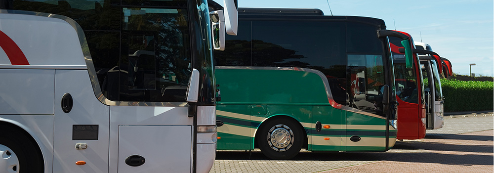 Tour buses parked at Casa de Fruta