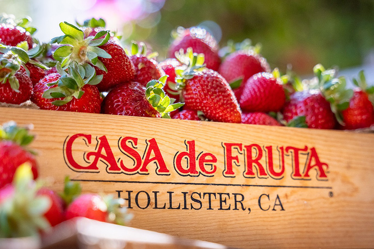 The Fruit Stand at Casa de Fruta