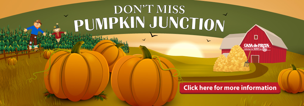 Don't Miss Pumpkin Junction, click for more info