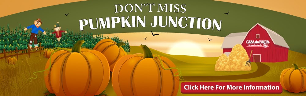 Pumpkin Junction