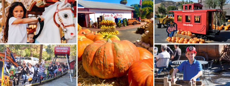 pumpkin junction activities